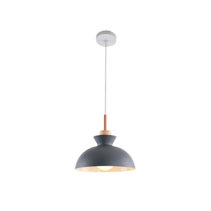 FL-017FL Hot Sell Light Dome Pendant Lamp