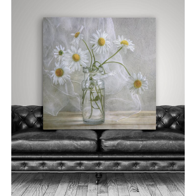 Daisies+-+Photograph (5)