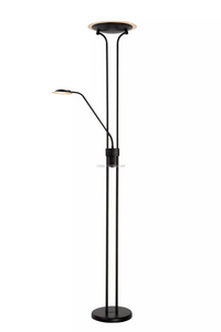 FL-055FR BLACK LED FLOOR LAMP