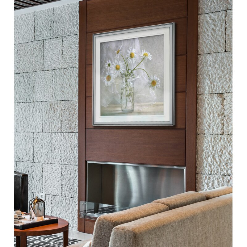 Daisies+-+Photograph (8)