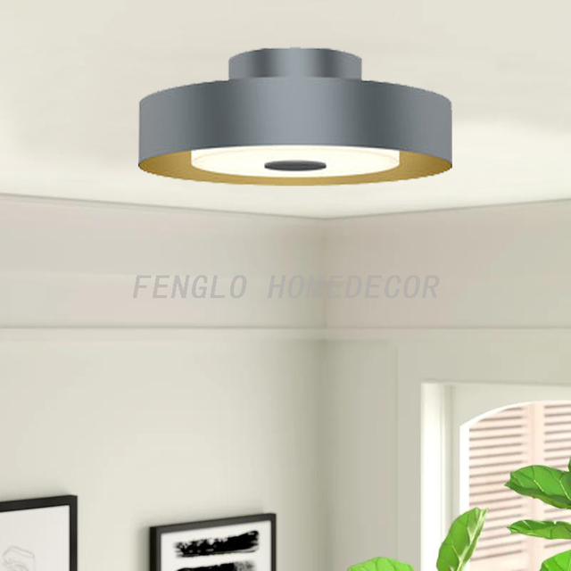 FL-026CL Modern ceiling Light
