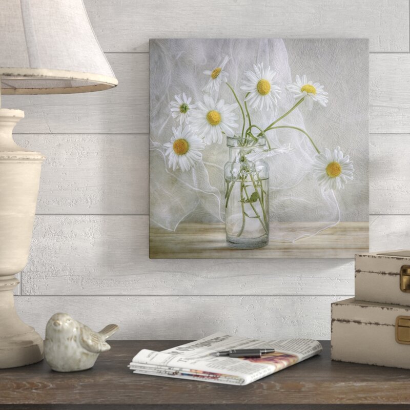 Daisies+-+Photograph