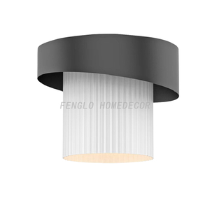 FL-024CL 2 Light Flush Mount 