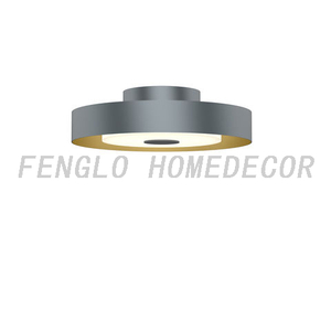 FL-026CL Modern ceiling Light